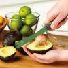 imageTovolo 575quot Slicer with Comfort Grip Handle Serrated Kitchen Knife for Avocados with Pitter ampamp Masher Sharp HighCarbon Steel Blade Dishwasher 1 Count Pack of 1 PestoPesto