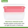 imageTovolo GlideAScoop Reusable Ice Cream Tub Flamingo  Airtight BPAFree Ice Cream Container for Homemade Ice Cream Compact Freezer Storage Dishwasher Safe 15 QuartFlamingo
